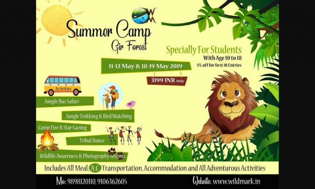 Summer camp Gir forest