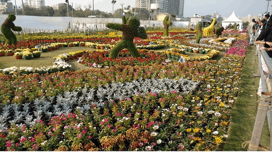 Flower Show